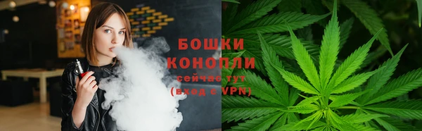 метадон Михайлов