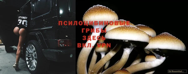 метадон Михайлов