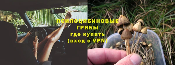 метадон Михайлов