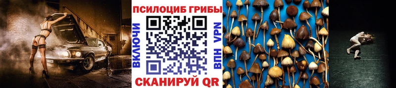 Псилоцибиновые грибы Cubensis  Купить закладки  Саянск 