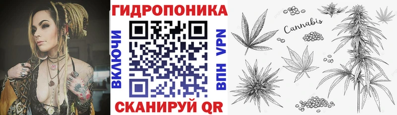 Шишки марихуана план  Купить  Саянск 
